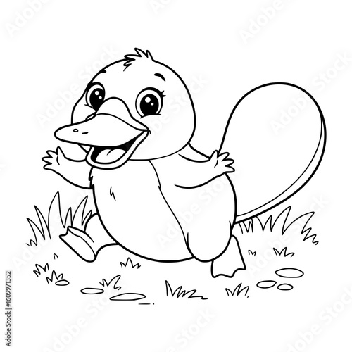 platipus coloring book. animal coloring page