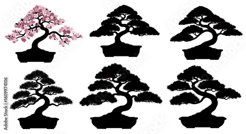 Set of bonsai trees with diverse shapes and vibrant cherry blossom tree in front of a pure background. These Bonsai tree depict calm, peace, and harmony