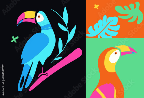 vector illustration of a tucan