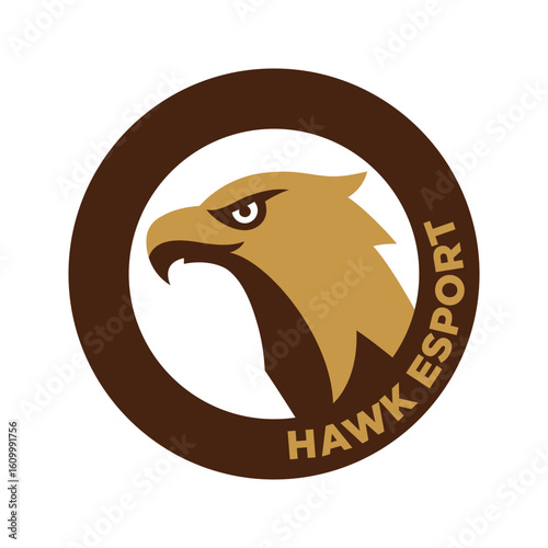 Hawk mascot esport logo design.