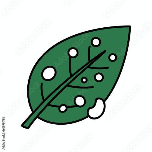Green leaf with holes and water drop vector illustration on white background.