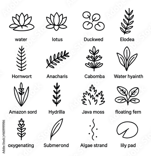 Aquatic plants icons: lotus, duckweed, elodea, hornwort, anacharis, cabomba, water hyacinth