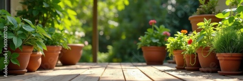 Assorted potted plants arranged on a sun-drenched wooden patio , home, garden design, rustic