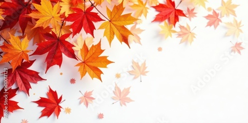 Vibrant red, orange, yellow maple leaves swirling, falling on white , whirlwind, seasonal, background