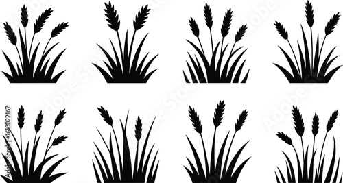 Black wheat grass silhouette, natural plant icons, agriculture crop symbols, rural farming elements, organic nature design illustration