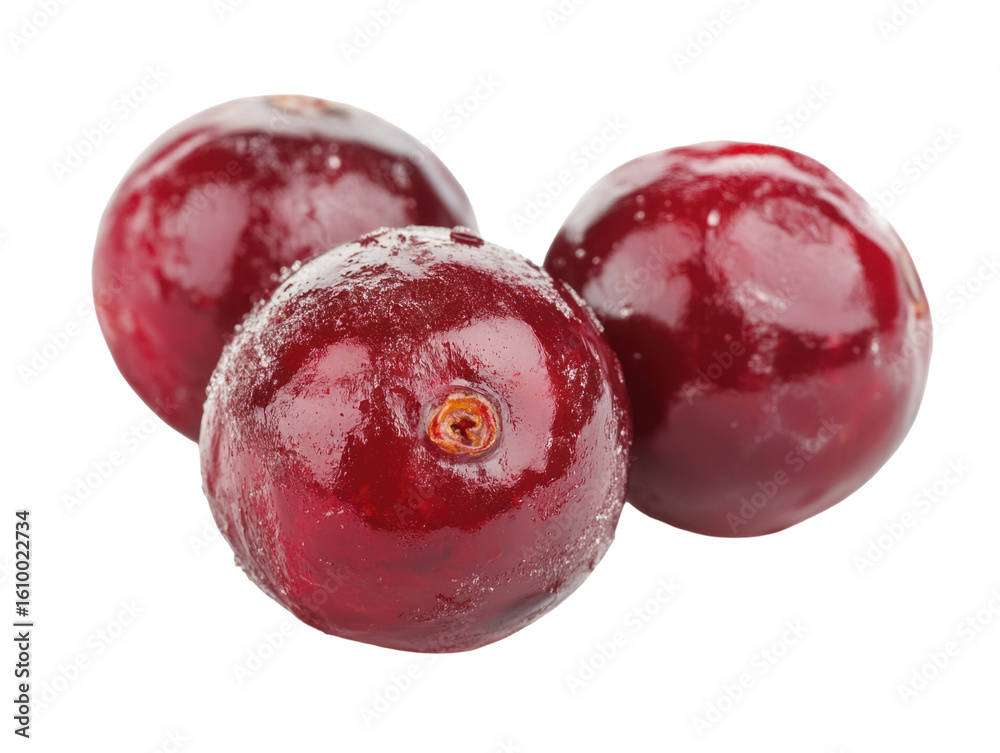 Obraz premium Fresh Cranberries