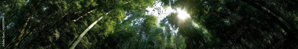 Fototapeta premium Breathtaking nature panoramic views lush forests hdr 360 degree photography tranquil environment
