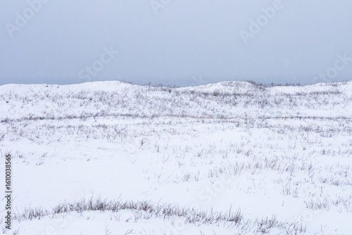 Tableau sur toile Fantasy landscape of snow-covered fields