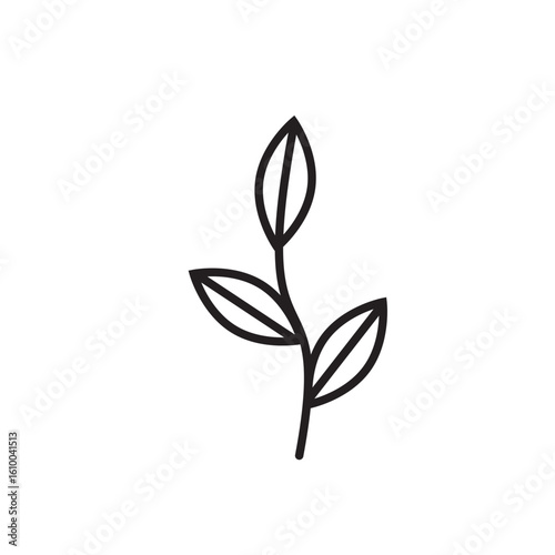 Minimal leaf contour drawing in modern linear style, designed for tattoo sketches, wedding branding kits, planners, and digital packaging elements
