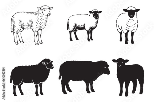 Sheep Lamb Animal Farm Illustration Outline Silhouette Collection