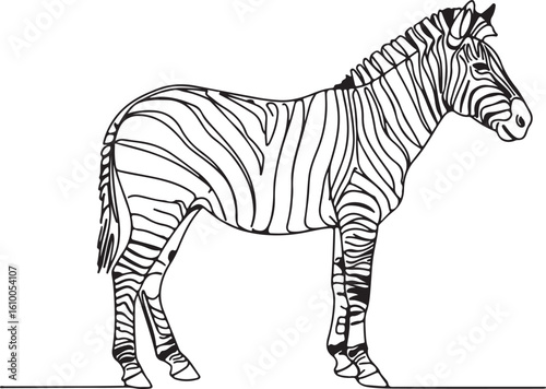 Minimal continuous line sketch of a zebra standing sideways, with distinctive striped contour