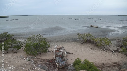 GRANJA DE OSTIONES Y MANGLARES EN LOPEZ MATEOS COMONDU BAJA CALIFORNIA SUR MEXICO
