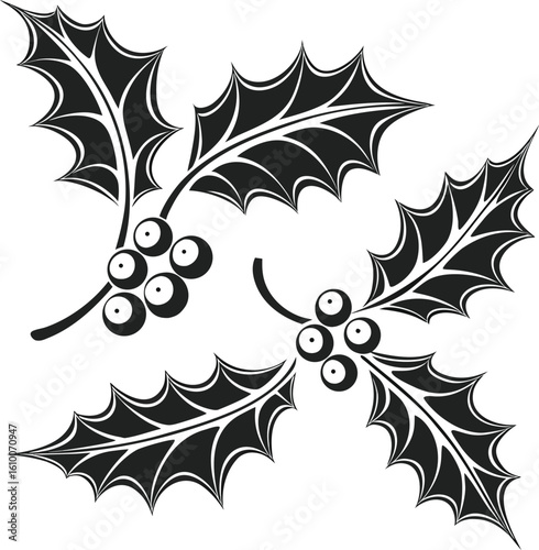 christmas holly leaves and berries black design