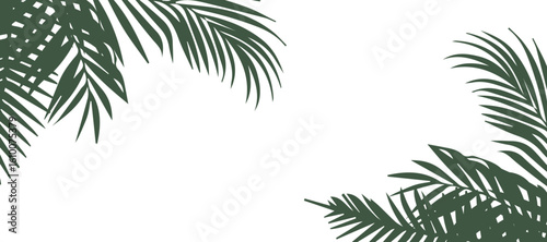 Cartoon palm tree branches for tropical-themed design vector illustration. Border for summer graphics, invitations or eco packaging