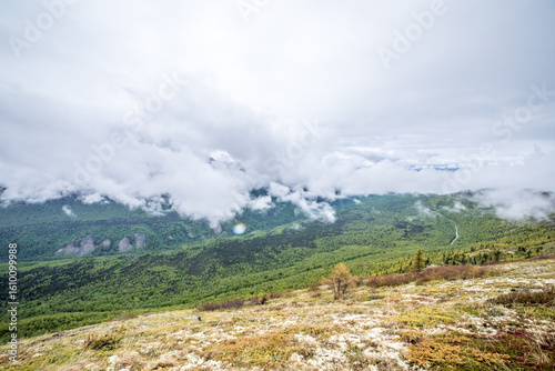 Misty Mountain Valley with Lush Green Forest