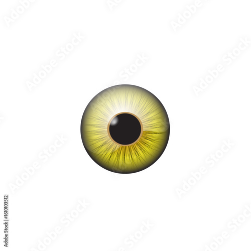 An Eye