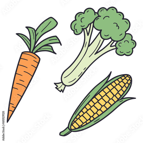 Carrot broccoli corn vegetables food