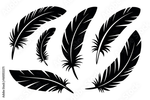 Collection of seven black silhouette bird feathers arranged in a circular pattern
