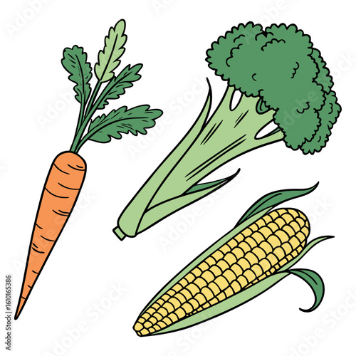 Carrot Broccoli Corn Vegetables food