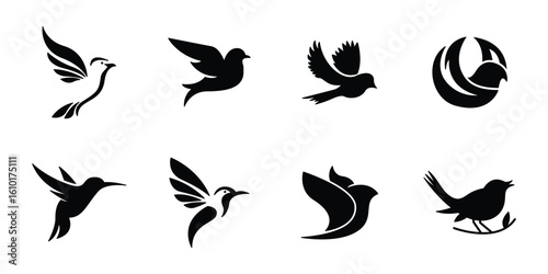 Minimalist Flying Birds Vector, Dove and Hummingbird Silhouettes
