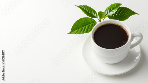 Fresh black coffee in white cup with green coffee leaves on white background, evoking natural and refreshing feeling