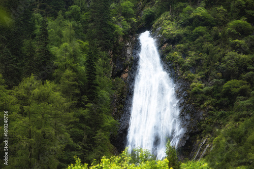 waterfall in the forest