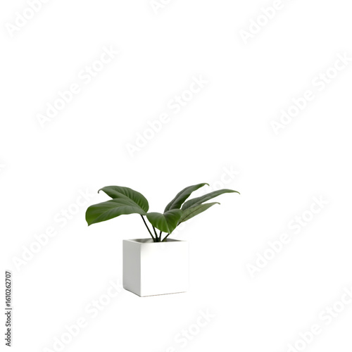 Decorative Plant in Ceramic Pot – Perfect for Living Room or Workspace