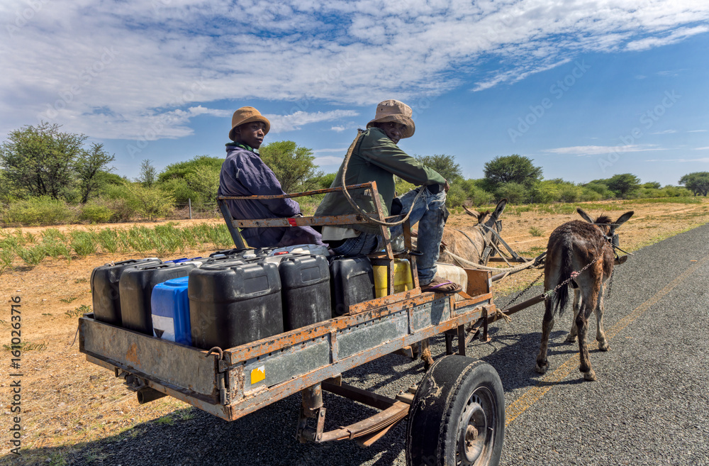 Obraz premium donkey cart on the road, africa water shortage, people carry water between villages with plastic containers