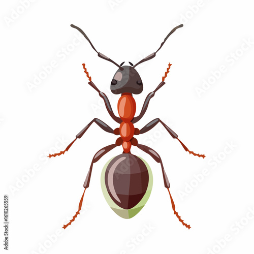 Detailed Cartoon Ant Illustration on White Background Showcasing Insect Anatomy