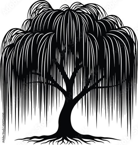 Vector art of a weeping willow tree silhouette with cascading branches is