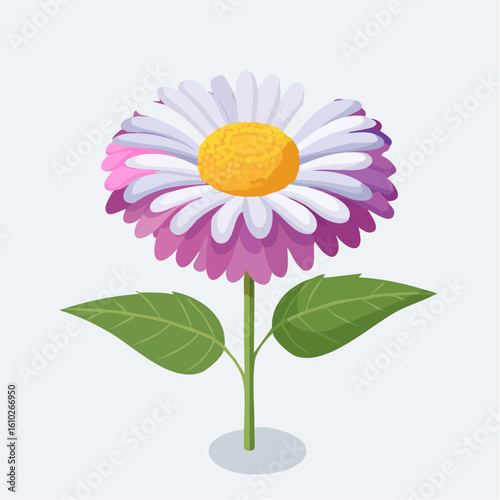 Isolated illustration featuring an elegant blooming flower with layered purple and white petals