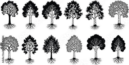 Vector art of a diverse collection of tree silhouettes, representing various species and natural landscapes