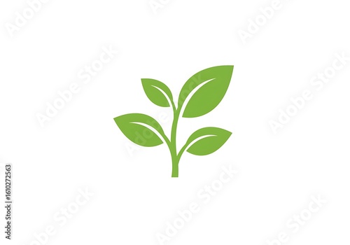 green plant isolated on white background
