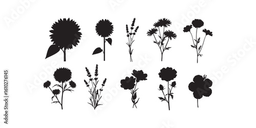 Minimal flower set silhouette with mixed summer blooms in various shapes