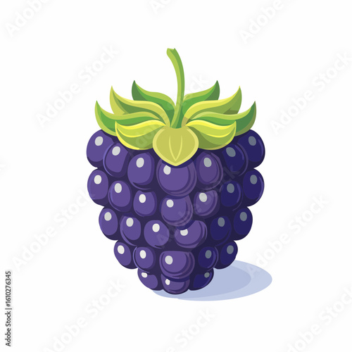 Illustration of a plump blackberry with vibrant green leaves and stem on a white background