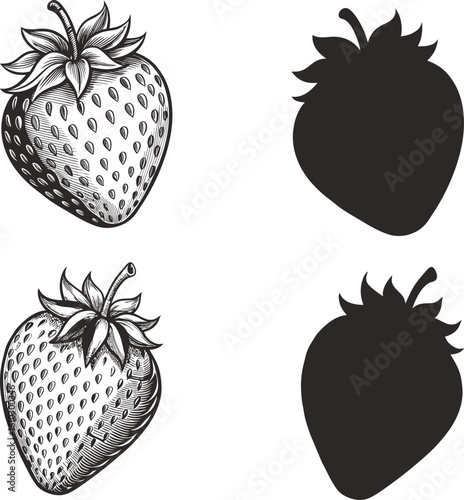 Engraved Strawberry with Silhouette on White Background Fresh and Delicious Berry Design for Commercial Use