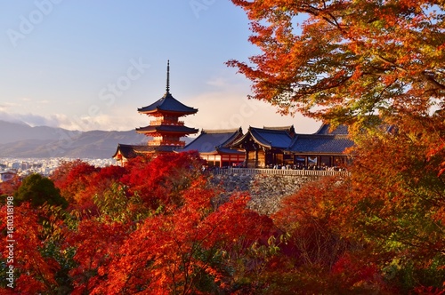秋の清水寺・夕景