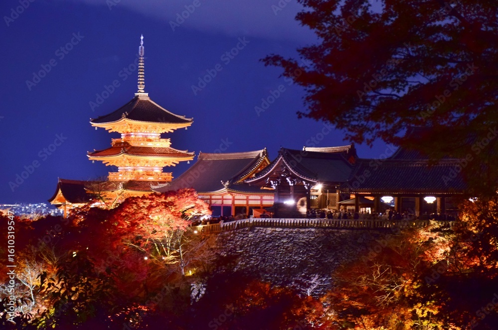 Fototapeta premium 秋の京都 清水寺ライトアップ