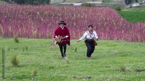 Farmers running in quinoa field, celebrating harvest