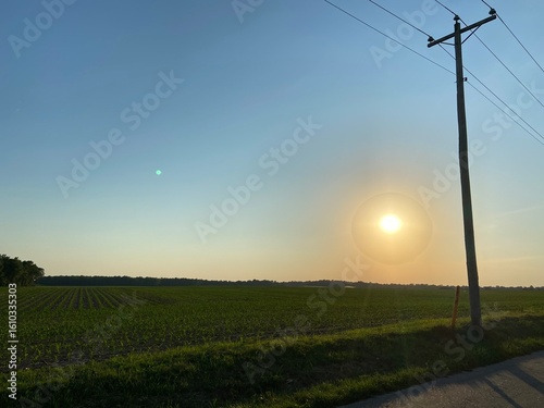 power lines at sunset