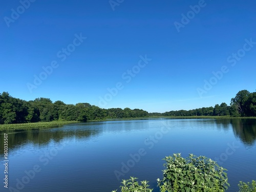 lake in the forest