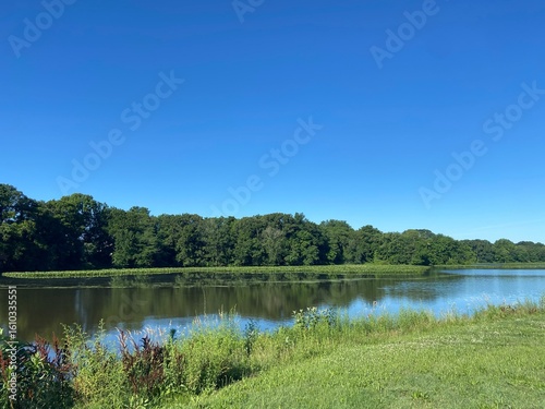 lake in the forest