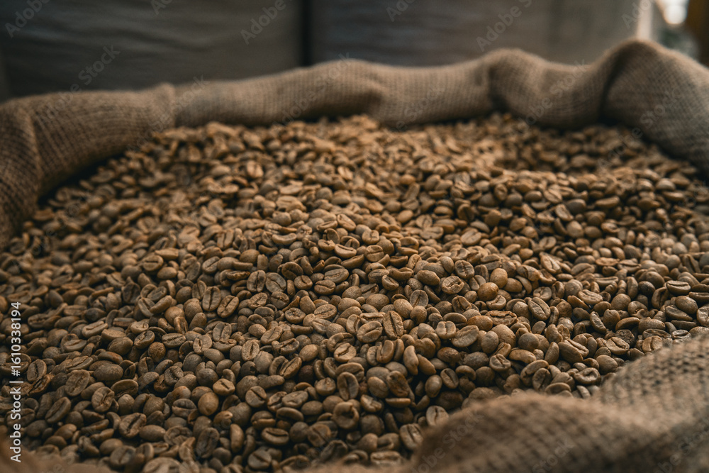 Obraz premium An overflowing burlap sack filled with freshly harvested coffee beans, showcasing richness and texture. Ideal for conveying themes of coffee production, agriculture, and organic ingredients.