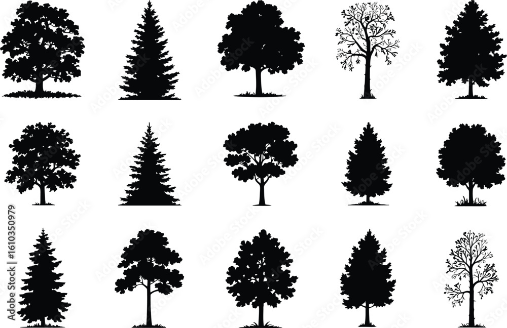 Fototapeta premium Diverse tree silhouettes in black and white trees deciduous trees