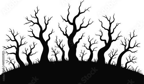 Spooky Forest Silhouette trees bare