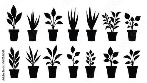 Black silhouette potted plants variety houseplants indoor plants