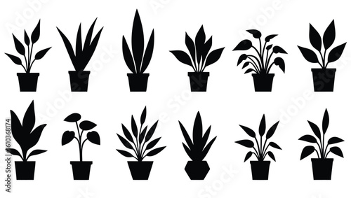 Diverse potted plants silhouettes houseplants foliage