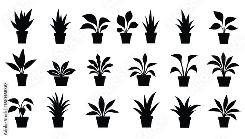 Diverse potted plants silhouettes houseplants foliage