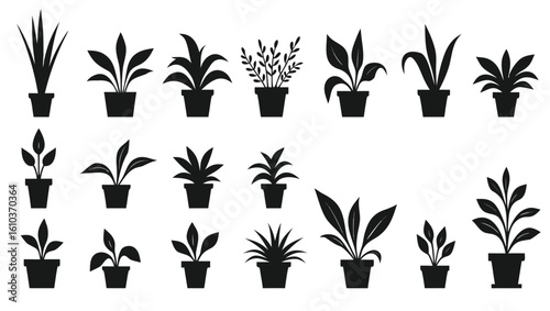 Potted Plants Collection Silhouette houseplants indoor plants