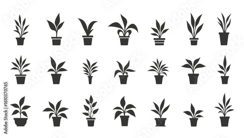 Potted plants foliage silhouettes houseplants indoor plants